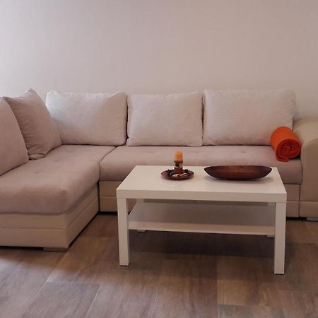 Apartment Nena- Apartman Sa Posebnim Ulazom U Prizemlju, Terasom I Zelenom Okucnicom Rakotule Kültér fotó
