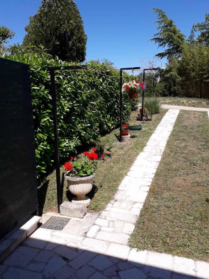 Apartment Nena- Apartman Sa Posebnim Ulazom U Prizemlju, Terasom I Zelenom Okucnicom Rakotule Kültér fotó