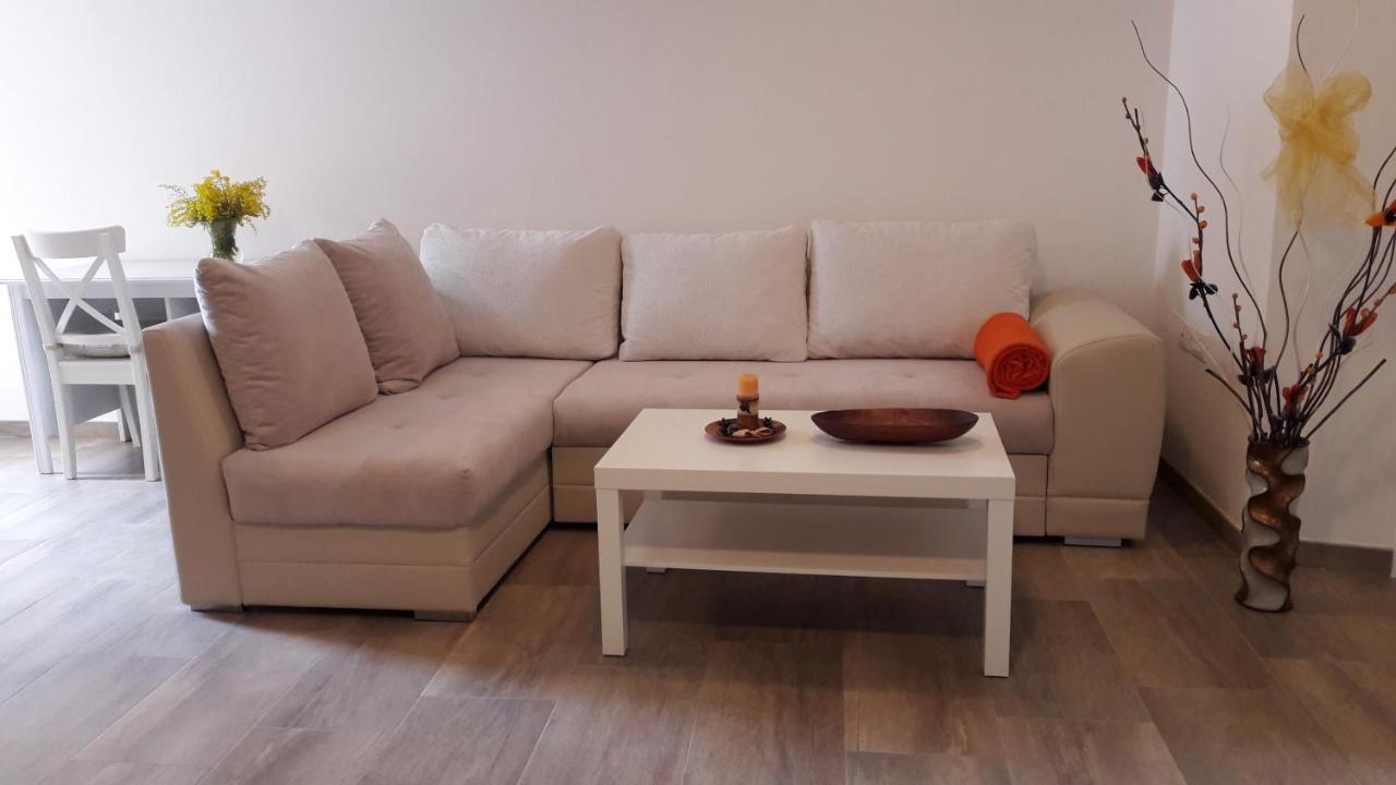 Apartment Nena- Apartman Sa Posebnim Ulazom U Prizemlju, Terasom I Zelenom Okucnicom Rakotule Kültér fotó