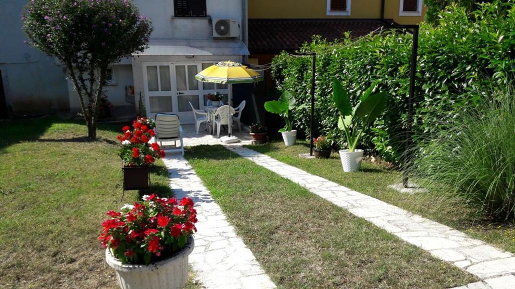 Apartment Nena- Apartman Sa Posebnim Ulazom U Prizemlju, Terasom I Zelenom Okucnicom Rakotule Kültér fotó